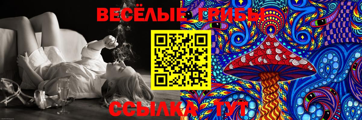 Старая Купавна  Галлюциногенные грибы GOLDEN TEACHER  Вход с VPN 